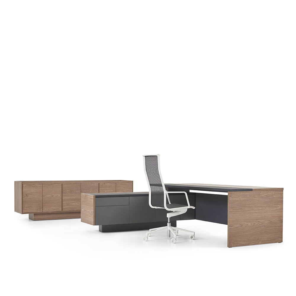 Director Desk 0008